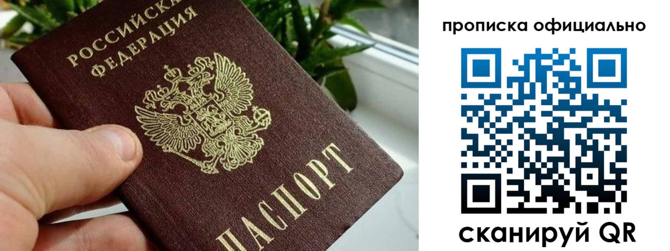 прописка поиск в Семилуках